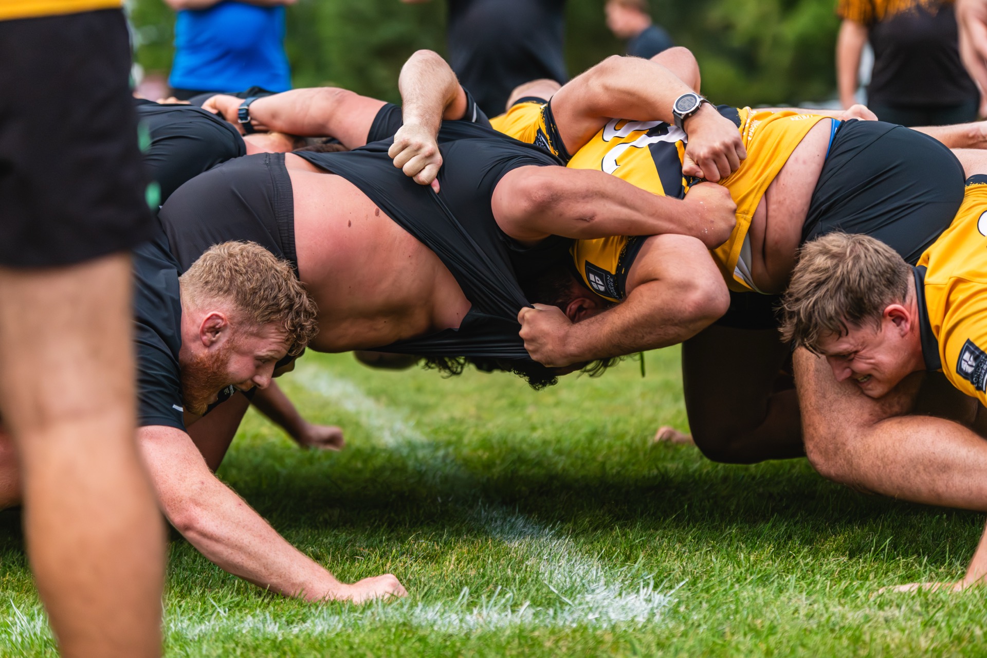 Elite Scrummaging Championship